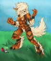 Arcanine43.jpg