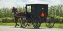 horse-and-buggy.jpg