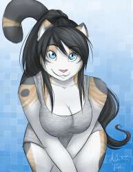 98_1408407417.catnamedfish_calico_small.jpg