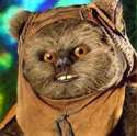 ewok3.png
