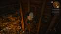 witcher3 2015-12-25 14-17-17-633.png