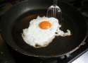 egger.jpg