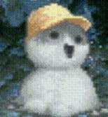 Snow Fio.gif