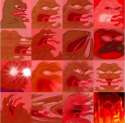 12799052_791884397610766_4140604327833309780_n.jpg