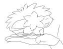 Sample.png