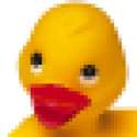 Ducky_Head_Web_Low-Res.jpg
