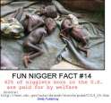 14 - Nigger Welfare Births_jpg.jpg