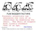 1358534422604.jpg