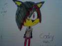 cody_the_hedgehog_by_sonic769-d32fgy8.jpg