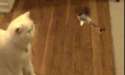 1444624937187.gif