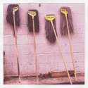 mops!!!!.jpg