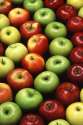Apples (1).jpg