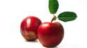 apple_960x540.jpg