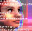 rip tay.jpg