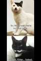 Meowseph Stalin & Kitler.png