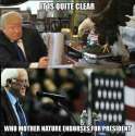 birds_prefer_Bernie.jpg