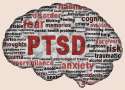 ptsd_brain1[1].png