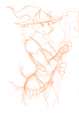 canvas1040160_57712.png