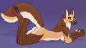 1410569157.royalty_gshep.png
