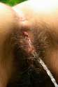 hairy_pee_16.jpg