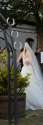 Wedding crop.jpg
