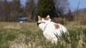 image.gif