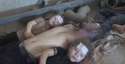 1280px-Ghouta_massacre1.jpg