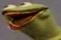 bite_me_009.jpg