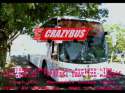 CRAZY BUS.jpg