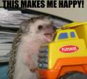 This makes me happy.jpg