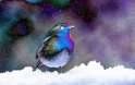 received_1122928554408279.jpg