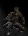 khajiit-thief.jpg