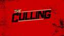 Culling-logo-600x337.jpg