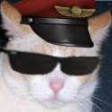 swag cat.jpg