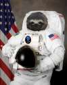 slothonaut.png
