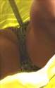 yellow.png