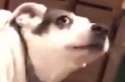 please god.png