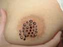 1352867396742.gif