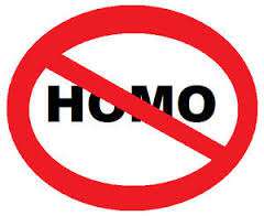 no homo.jpg