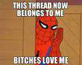 120px-This_thread_belongs_to_me_-_b's_love_me_Spidey.jpg