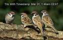 tits with timestamp .jpg