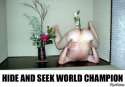 tmp_14347-hide_and_seek_world_champion-1314430212.jpg