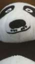 received_1087344997984300.jpg