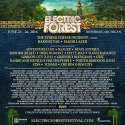 Electric Forest 2016.jpg