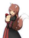 Holo maoyuu.jpg
