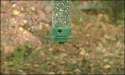 1414346146049.gif