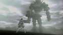 SotC-Best-Shot-01.jpg