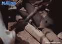 1415914730615.gif