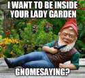 Funny-Dirty-Gnome.jpg