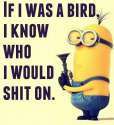 Top-40-Funniest-Minions-Memes-meme.jpg